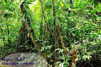 Welcome to Toms Homepage